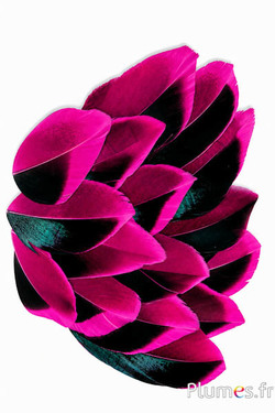 Petali in piume - 5-8 x 3-4 cm - fucsia-nero